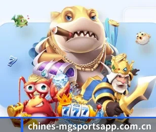 赛事数据与深度分析